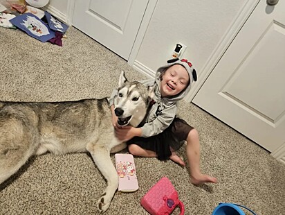 O cão é o melhor amigo da mini humana.