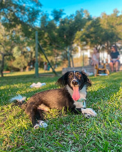 Com seu jeito único ele conquista corações e faz amizade com facilidade.