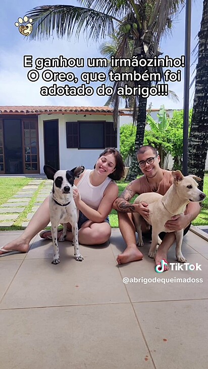 O cão foi adotado por um casal que ficou sabendo de sua história.