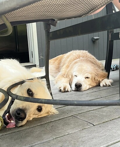 Apesar de sua diferença de idade, Mia e Theo têm uma relação muito especial.