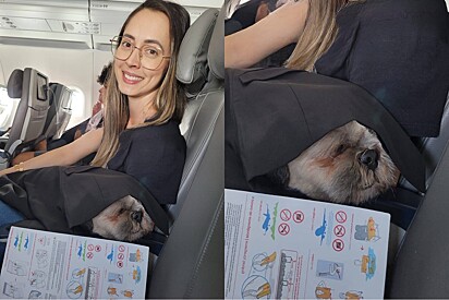 Cachorrinho faz birra para ir no colo da mãe em avião e história termina diferente.