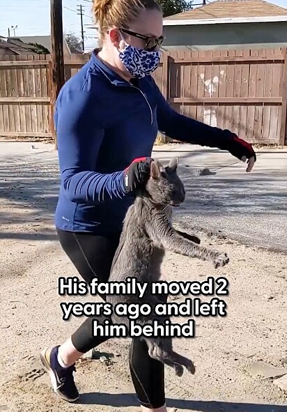 A família desse gatinho se mudou e o deixou para trás.