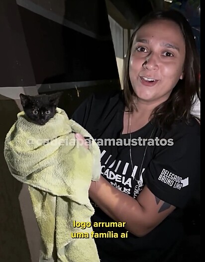 O felino foi resgatado com segurança pela equipe de Roberta Dias Lima.