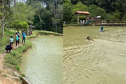 Problema em pescaria deixa todos sem ação, até que cão pastor entra em cena para salvar o dia