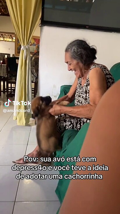 A cachorrinha entendeu seu papel na vida da senhora.