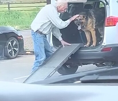 Avô é flagrado cuidando com o maior carinho de cão pastor idoso e cena comovente viraliza