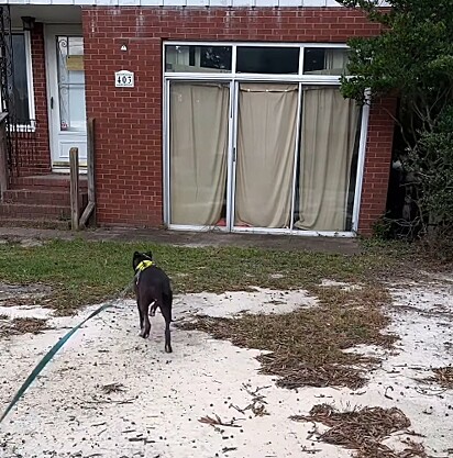 Luna levou a protetora até a antiga casa. 