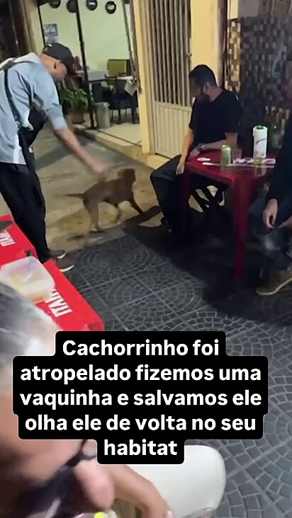 O cachorro era o último membro que faltava no grupo de amigos.