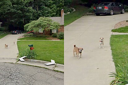 Mulher procura casa da infância no Google Street View e chora com o que vê.