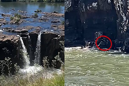 Turistas avistam algo que parecia um animal se mexendo em cachoeira e viagem vira corrida contra o tempo.