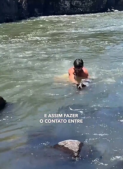 Os amigos nadaram contra a correnteza para resgatar a cachorrinha.