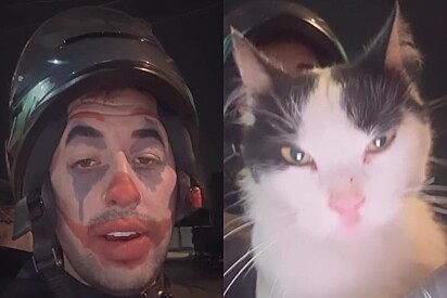 “Foi buscar cobre e ganhou ouro” - motoboy viraliza por aceitar gato como pagamento