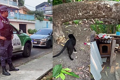 Jovem jamais pensou que iria parar na delegacia por cuidar dos animais de rua