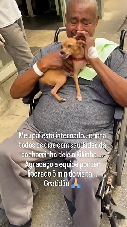 A cachorrinha sentia falta do dono.