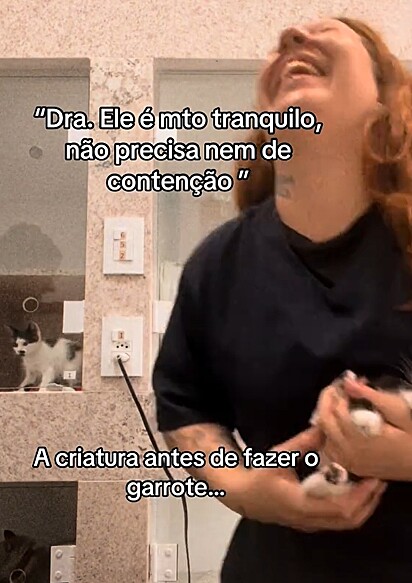 Milena não conseguiu segurar o riso diante da atitude hilária do gatinho.