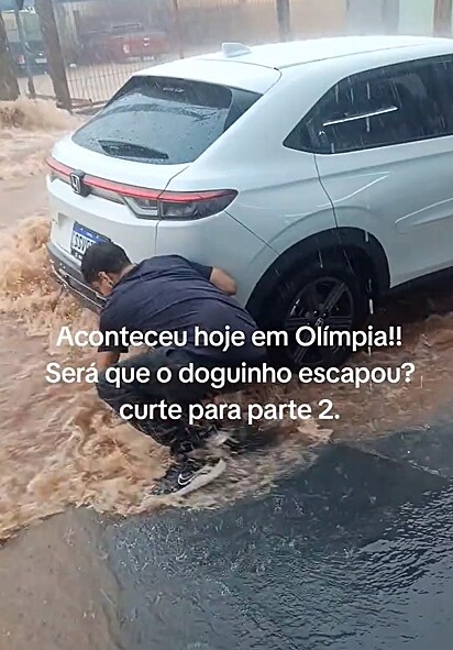 O cachorro foi arrastado pela correnteza para debaixo do carro.