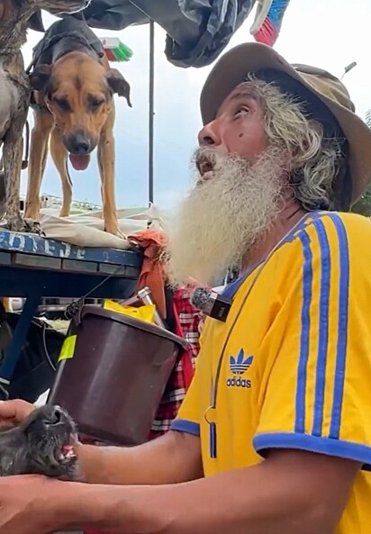 Rocky, conhecido como Noé, é apaixonado por seus cães.