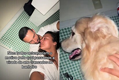 Pelo seu cão Golden Retriever, casal decide passar a virada do ano trancados no banheiro.