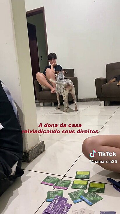 Todos os membros da família tem direitos e deveres.