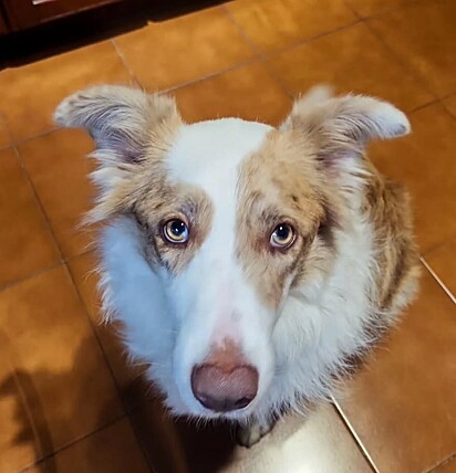 Otto demonstrou ressentimento pela ausência prolongada da tutora.