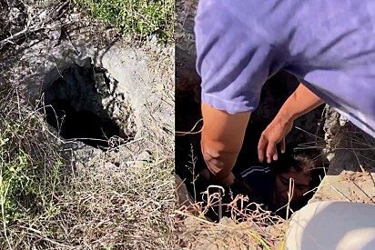 Voluntários escutam som vindo das profundezas de buraco ermo e encontram o rostinho lindo que buscavam.