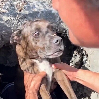 Chiquita caiu em um buraco de 2 metros de profundidade.