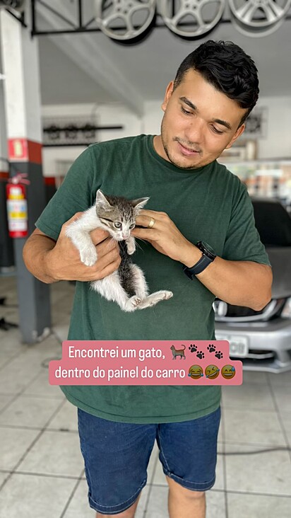 A loja adotou o gatinho.