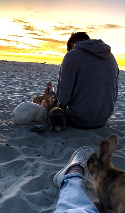 Apesar de nunca ter planejado cuidar de quatro animais, ela não mudaria isso por nada.