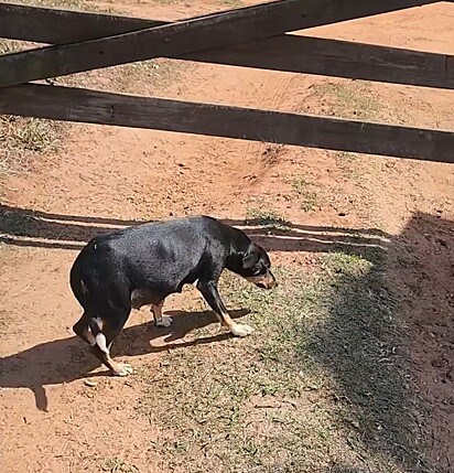 Mikaela foi abandonada grávida.