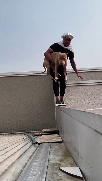 O cão estava no telhado vizinho.