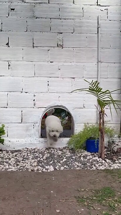 Os dois são bem-vindos na casa um do outro.