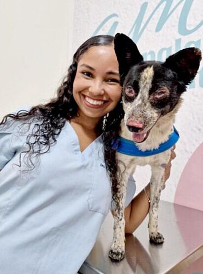 A médica veterinária Alice Soares teve o gesto altruísta de oferecer seus serviços gratuitamente ao animal.