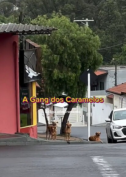 A gangue dos caramelos.