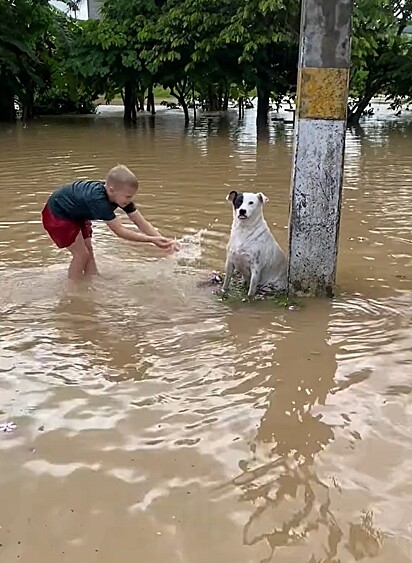 Zé seguiu as crianças sem imaginar que estava a caminho do seu primeiro banho.