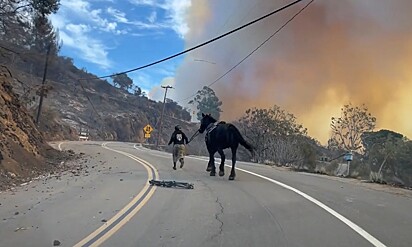  Kalyna cavalgou cerca de 22 km até um local seguro.