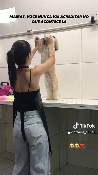 A cachorrinha não parecia estar incomodada.