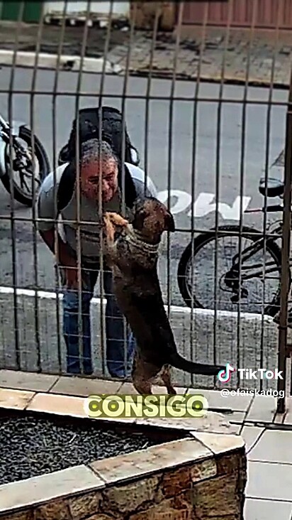 O ciclista não resistiu e precisou dar atenção ao cão.