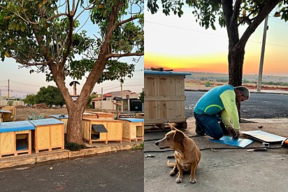 Leomar constrói casinhas para cães abandonados e doa para abrigos.