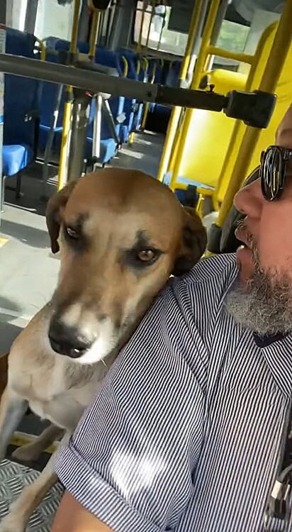  Newton Marcelo Malachias falou ao Amo Meu Pet sobre a história desses cães especiais.