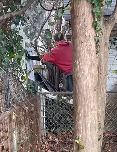 Ele passou horas tentando ganhar a confiança da gata.