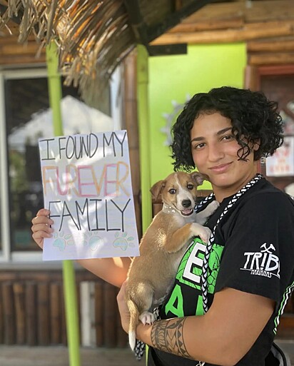 As irmãs resgataram a família canina.