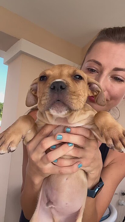 O marido de Kaja a presenteou com um filhote de cachorro de nove meses.