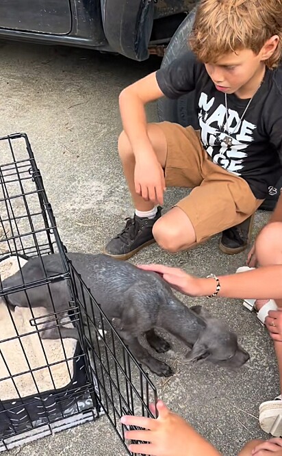 A mãe revelou que encontrou a cachorrinha no meio da rua.