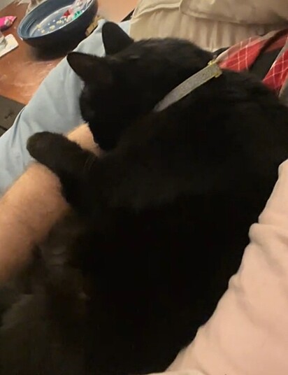 Shadow não tem acesso à área externa.