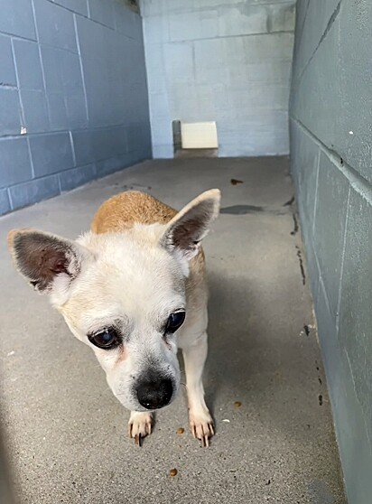 Abandonado aos 18 anos, sua chance de conseguir uma nova família era mínima. 