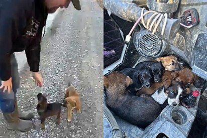 Todos foram encontrados em boas condições de saúde.