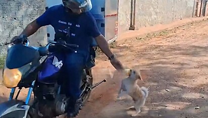 Ele garante o seu pão fresquinho.