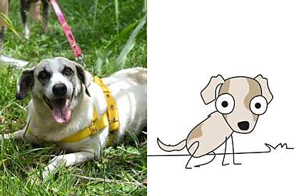 Conheça Chico, o cachorrinho que se colocou sozinho para ser adotado e ganhou animação contando sua história.