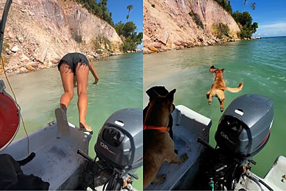 Moça tenta abandonar seus 3 cachorros e acaba aprendendo uma grande lição .