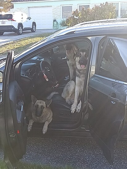 Os três se acomodaram confortavelmente no carro.